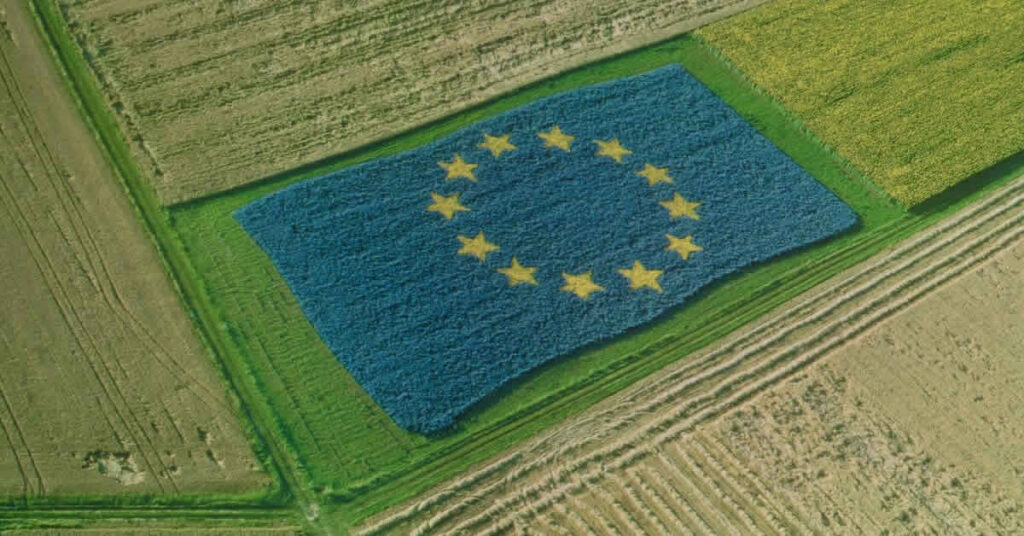 campo con la bandera de la Unión Euorpea